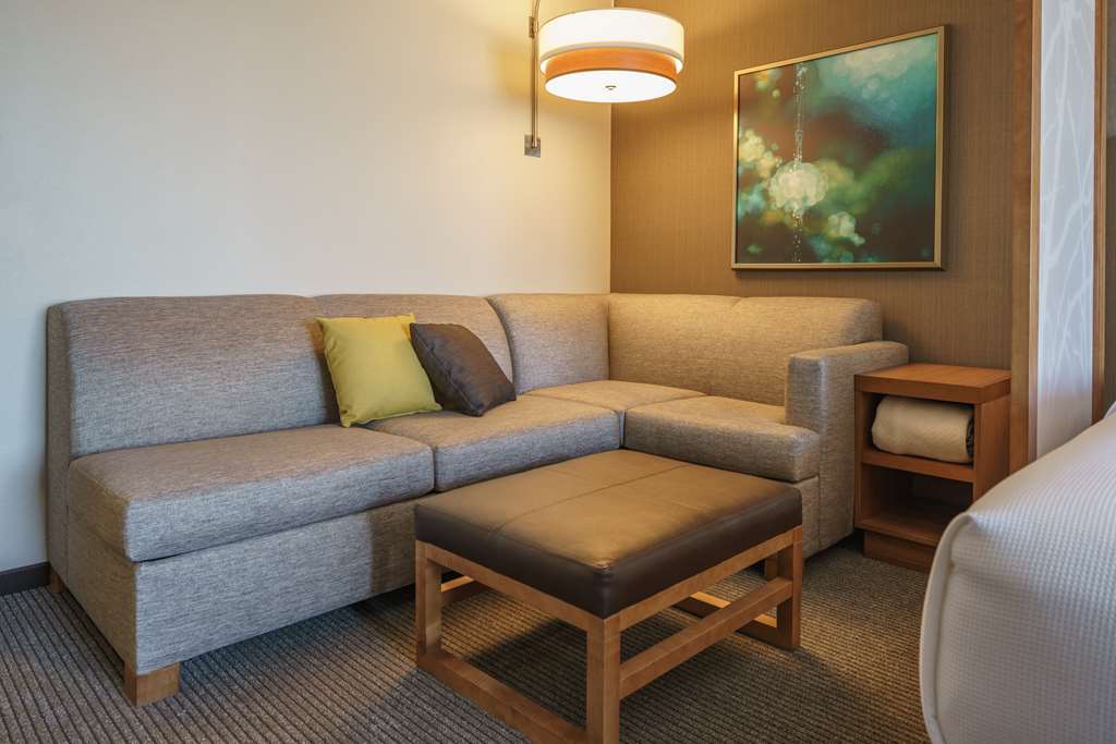 Hyatt Place Houston Galleria Cameră foto